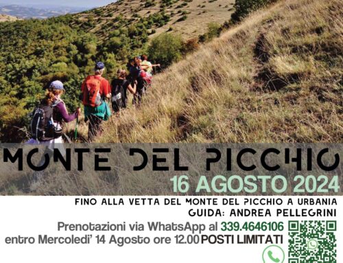 MONTE DEL PICCHIO 16 AGOSTO ESCURSIONE